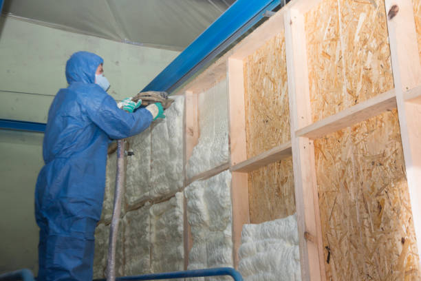 Insulation Repair Services in Hunter, OH